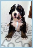 /album/a3-tyzden-3rd-week/kolaz-iii-2-jpg/